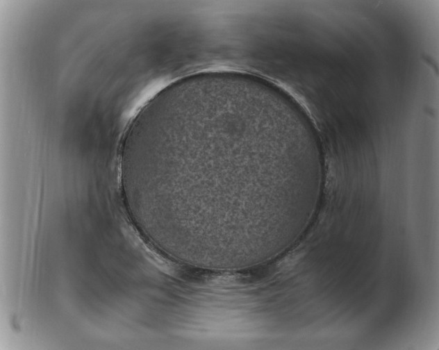 X0000103141367200809051604