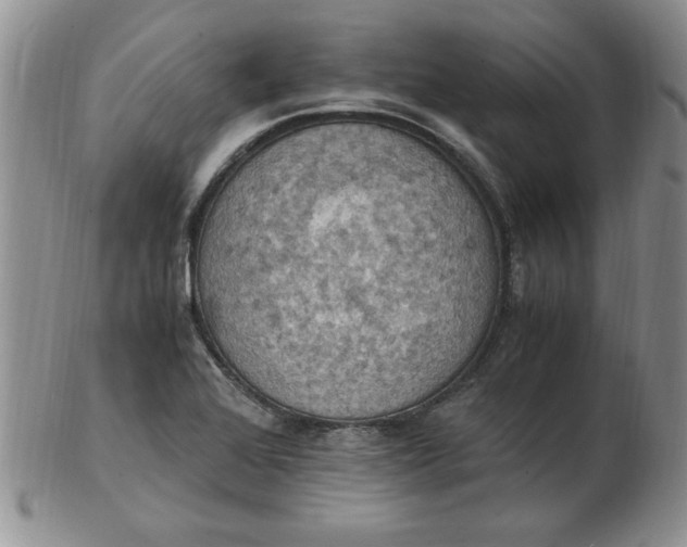 X0000103141368200809051604