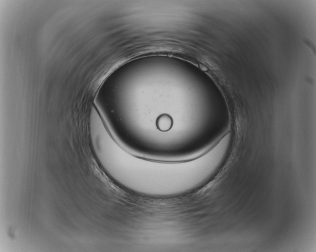 X0000103141369200809051604