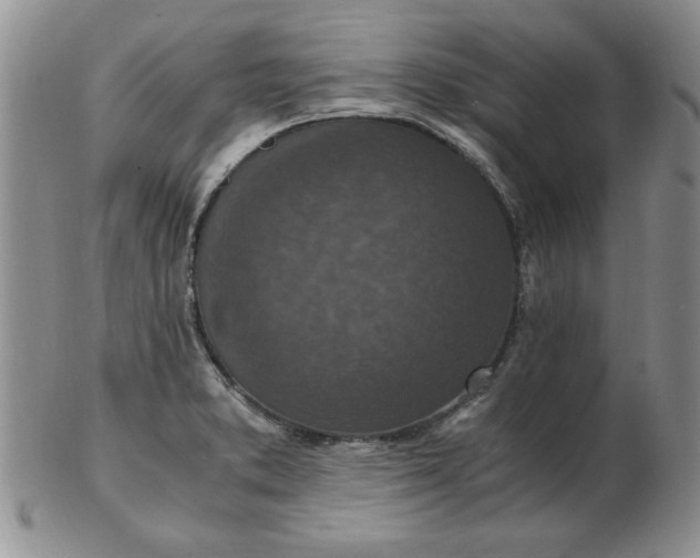 X0000103141373200809051604