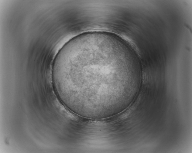 X0000103141374200809051604