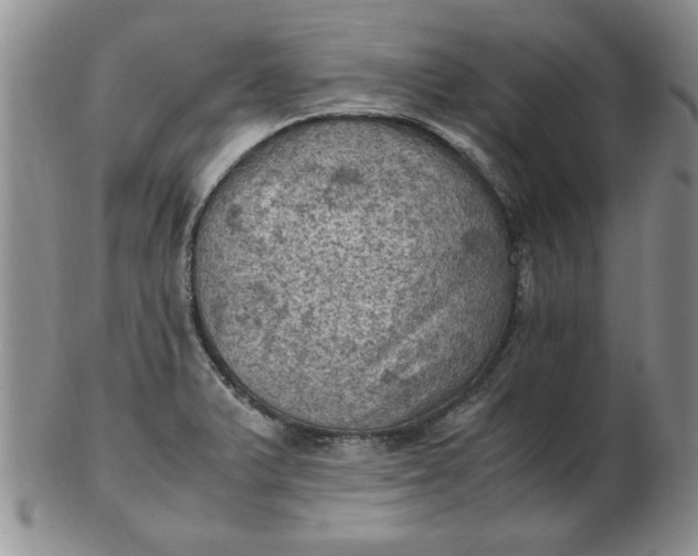 X0000103141375200809051604