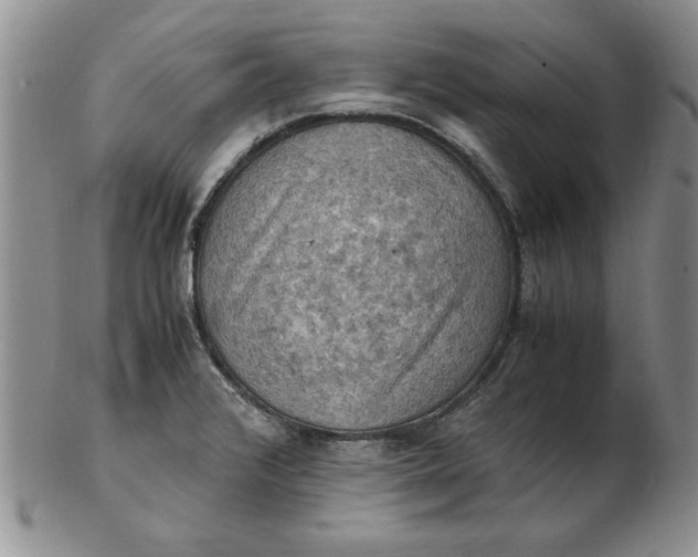 X0000103141376200809051604