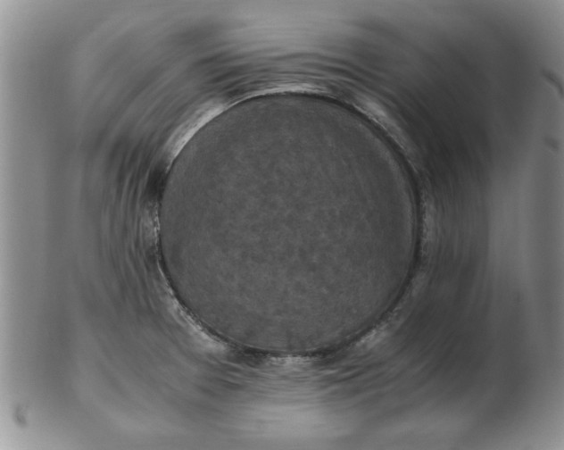 X0000103141377200809051604