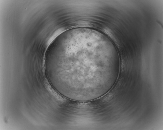 X0000103141378200809051604