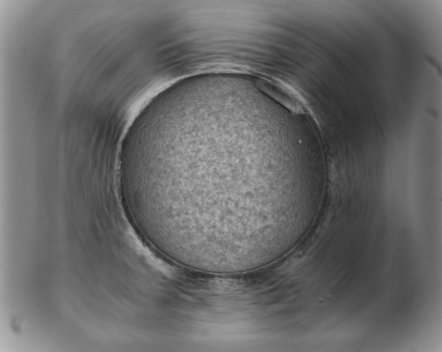 X0000103141379200809051604