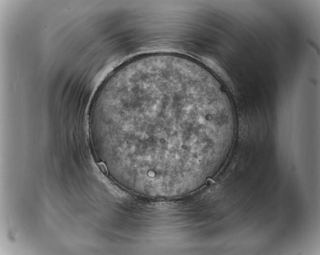 X0000103141380200809051604