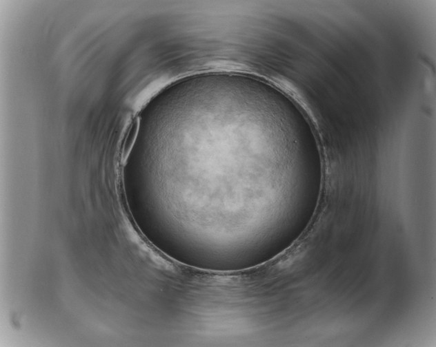 X0000103141381200809051604