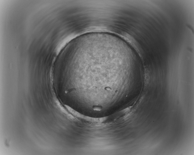 X0000103141382200809051604