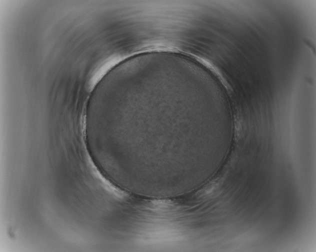 X0000103141383200809051604