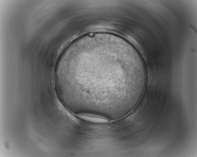 X0000103141384200809051604