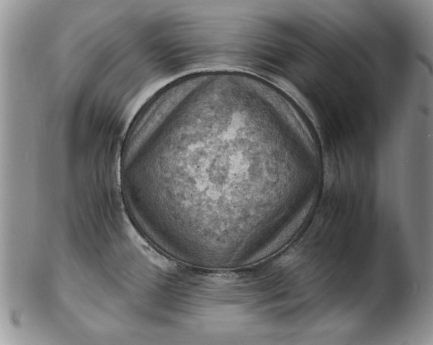 X0000103141388200809051604