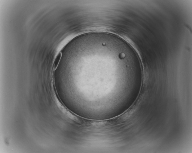 X0000103141389200809051604