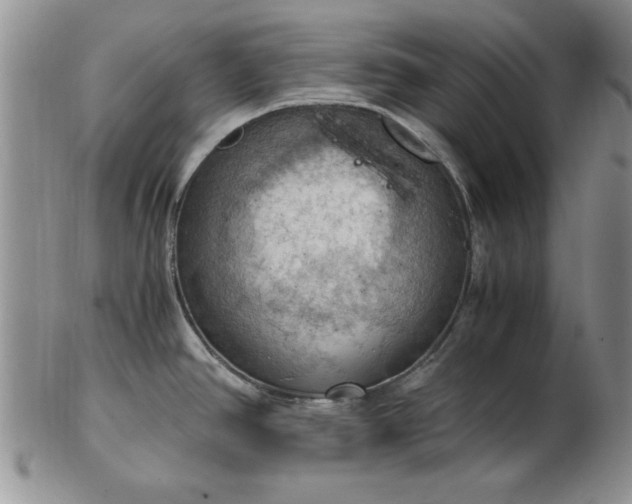 X0000103141390200809051604