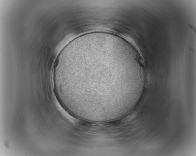 X0000103141391200809051604