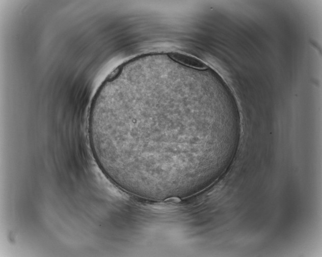 X0000103141392200809051604