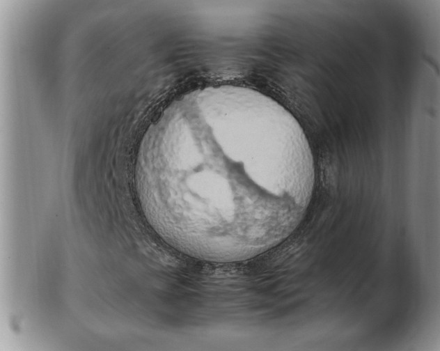 X0000103141393200809051603