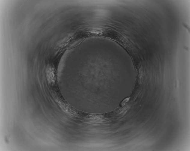 X0000103141394200809051603