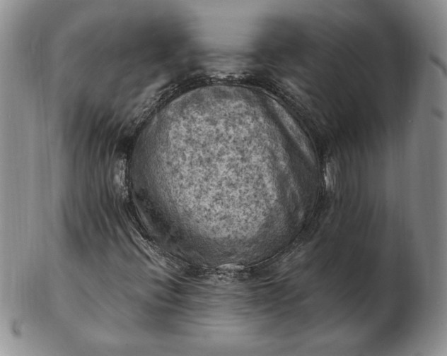 X0000103141396200809051603