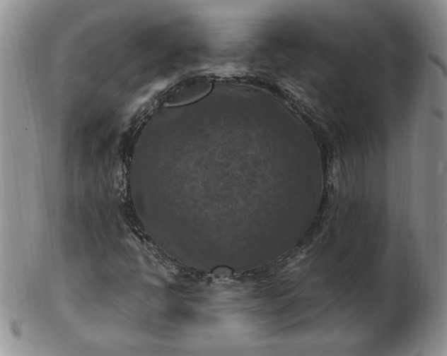 X0000103141398200809051603