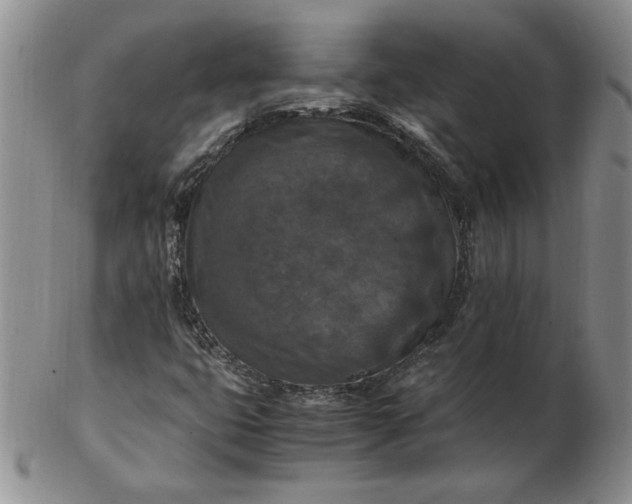 X0000103141399200809051603