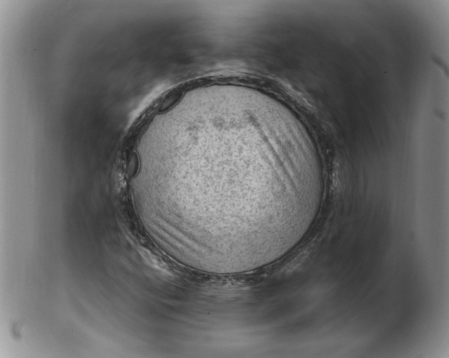 X0000103141400200809051603