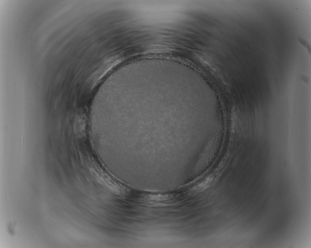 X0000103141401200809051603