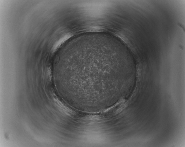 X0000103141402200809051603