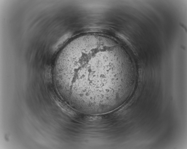 X0000103141403200809051603