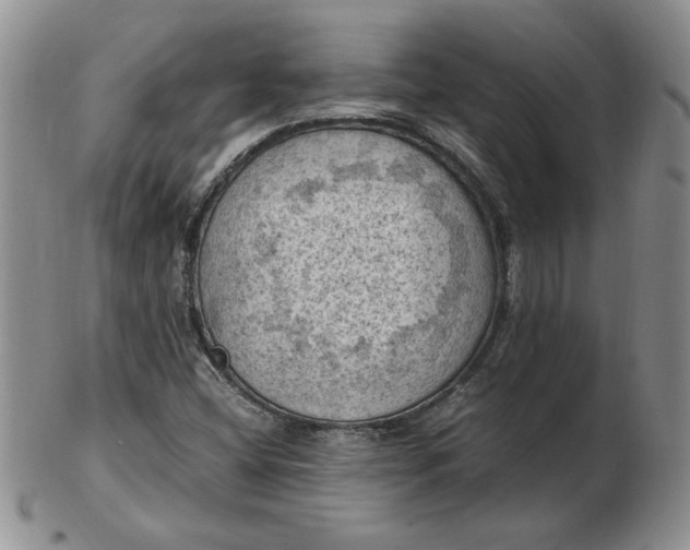 X0000103141404200809051603