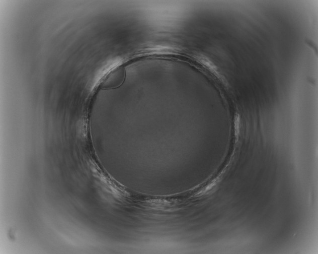 X0000103141405200809051603