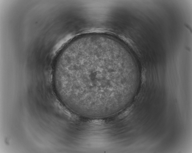 X0000103141406200809051603