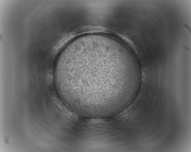 X0000103141407200809051603