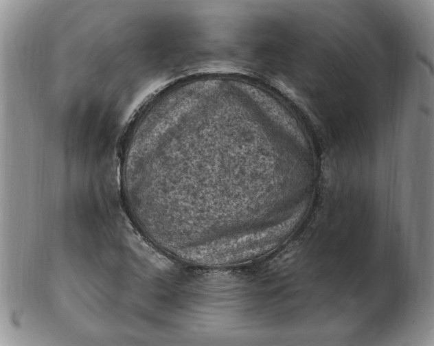 X0000103141408200809051603