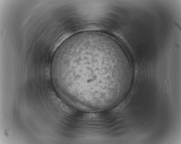 X0000103141409200809051603