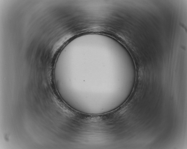 X0000103141410200809051603