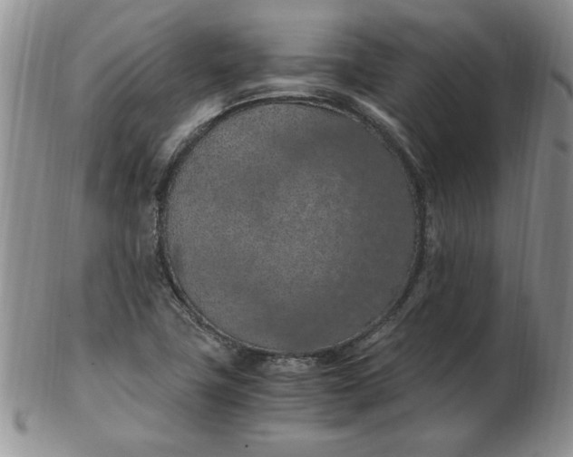 X0000103141411200809051603