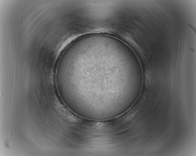 X0000103141412200809051604