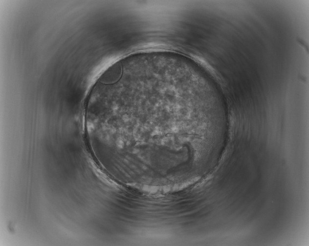 X0000103141413200809051604