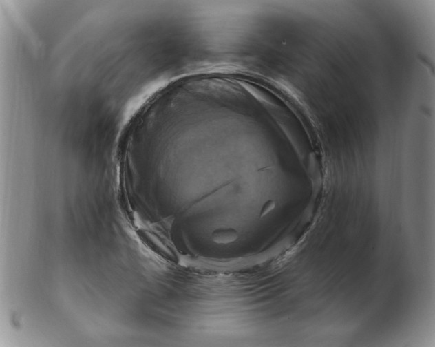 X0000103141414200809051604