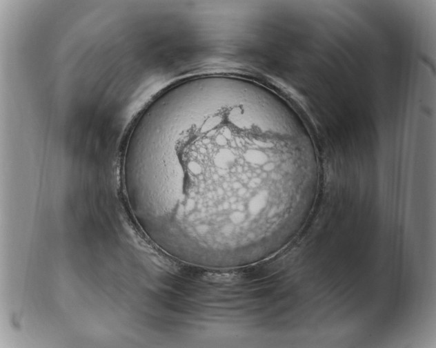 X0000103141415200809051604