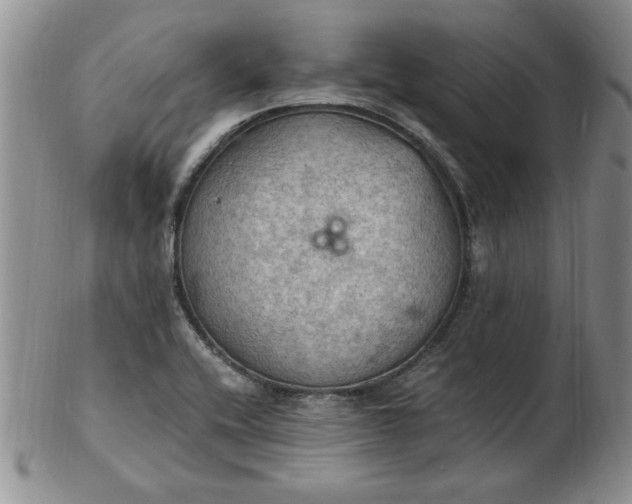 X0000103141416200809051604