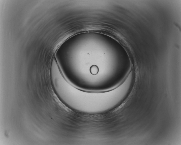 X0000103141417200809051604