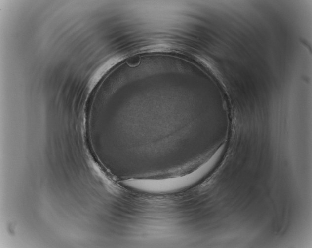 X0000103141418200809051604