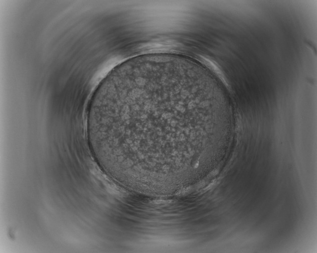 X0000103141419200809051604