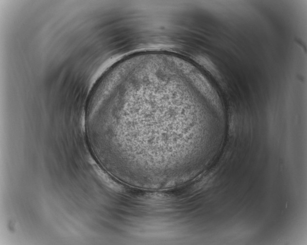 X0000103141420200809051604