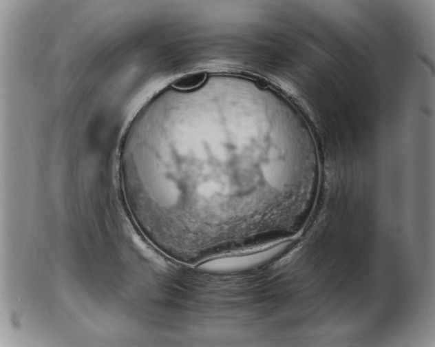 X0000103141421200809051604