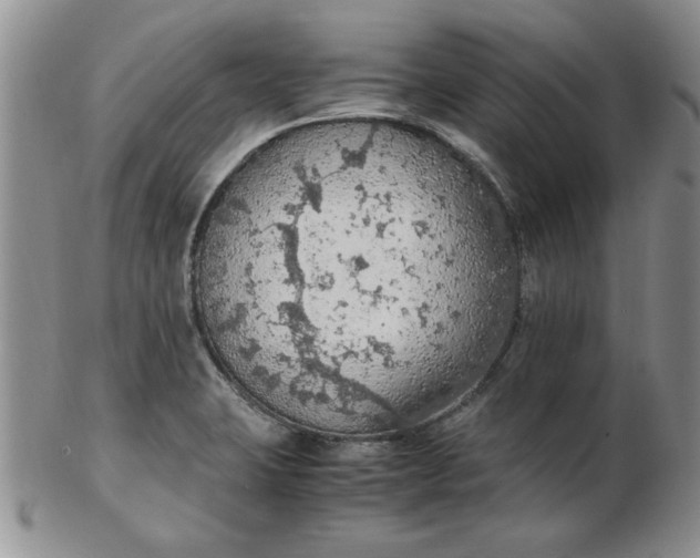 X0000103141423200809051604