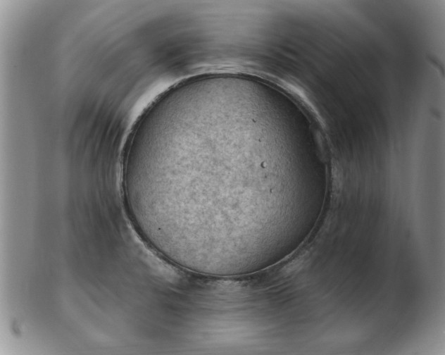 X0000103141424200809051604