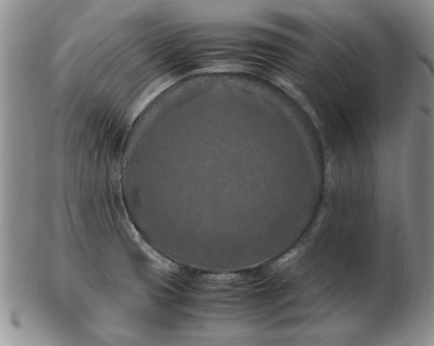 X0000103141425200809051604